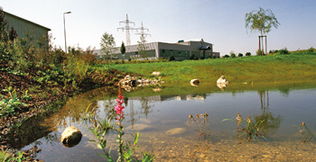 Ökologie